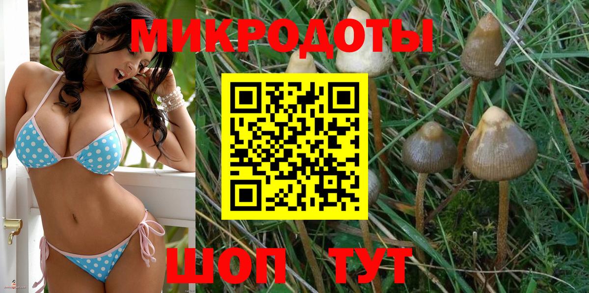 Хасавюрт  Галлюциногенные грибы GOLDEN TEACHER  Вход с VPN 