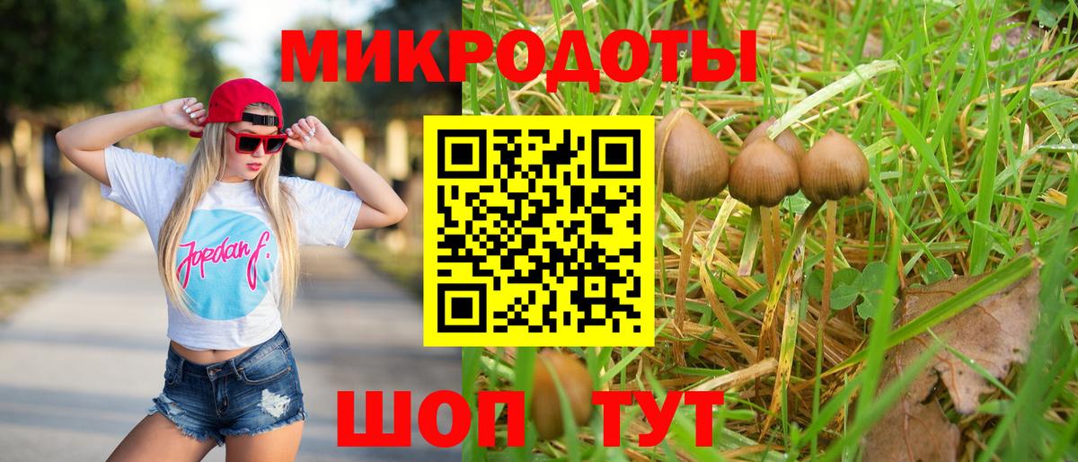 Галлюциногенные грибы мицелий Хасавюрт